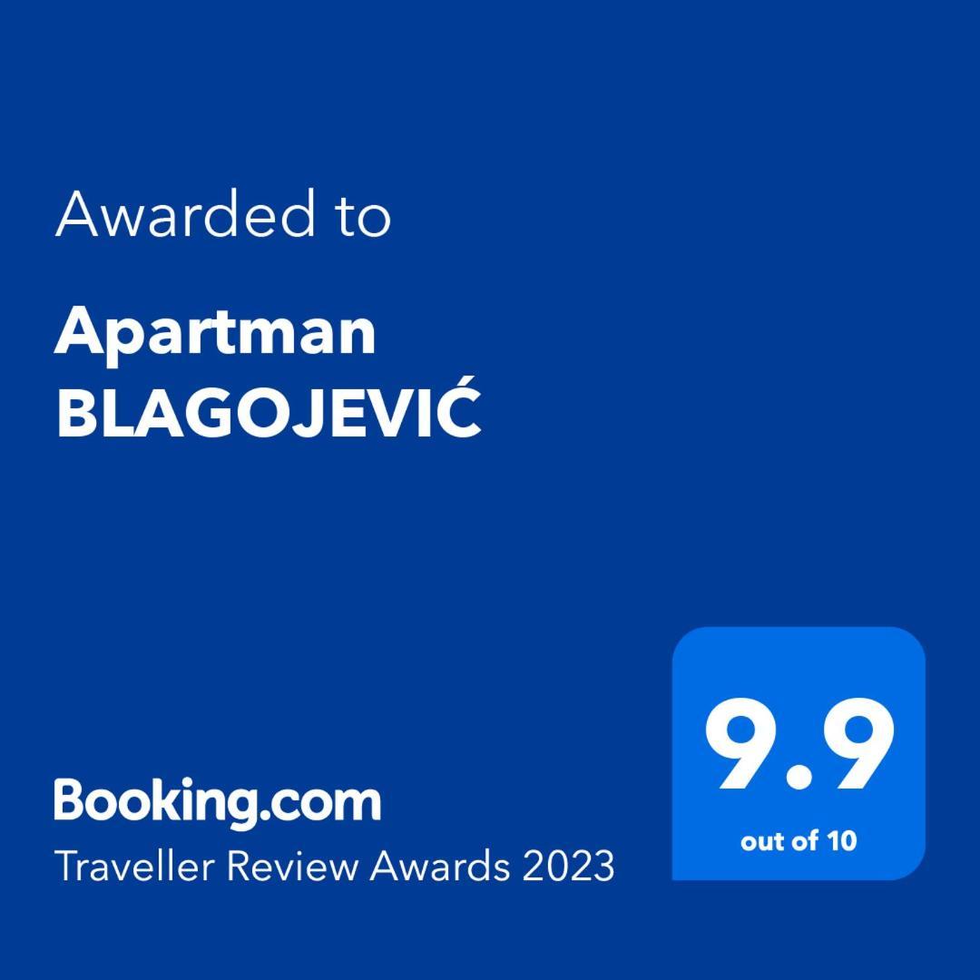 Apartman Blagojevic Banja Koviljača エクステリア 写真